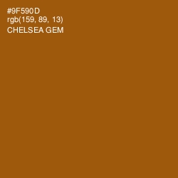 #9F590D - Chelsea Gem Color Image